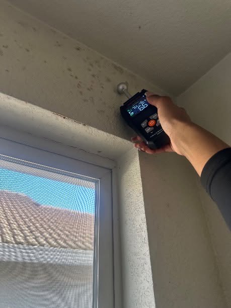 Inspector checking a mold-affected wall above a window with a handheld meter
